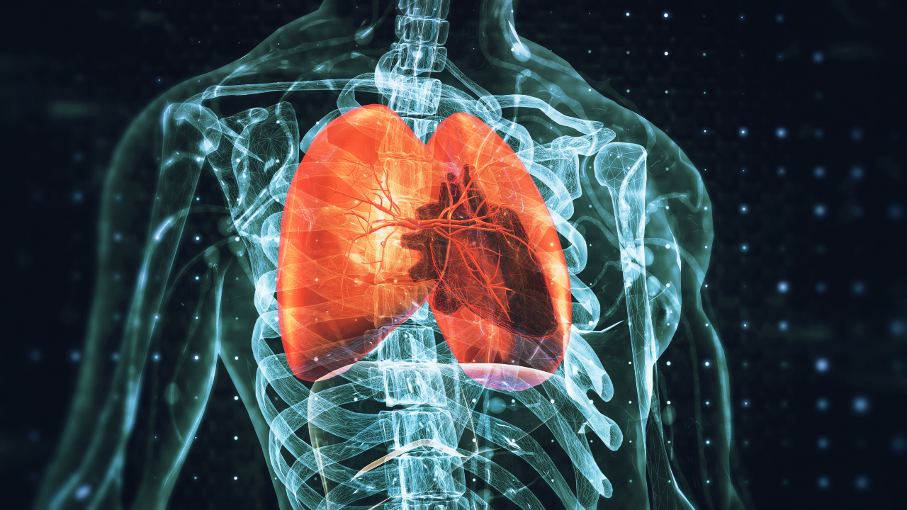 cvd-heart-lungs-summary