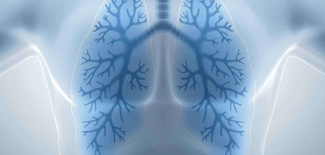 lungs image_s.jpg