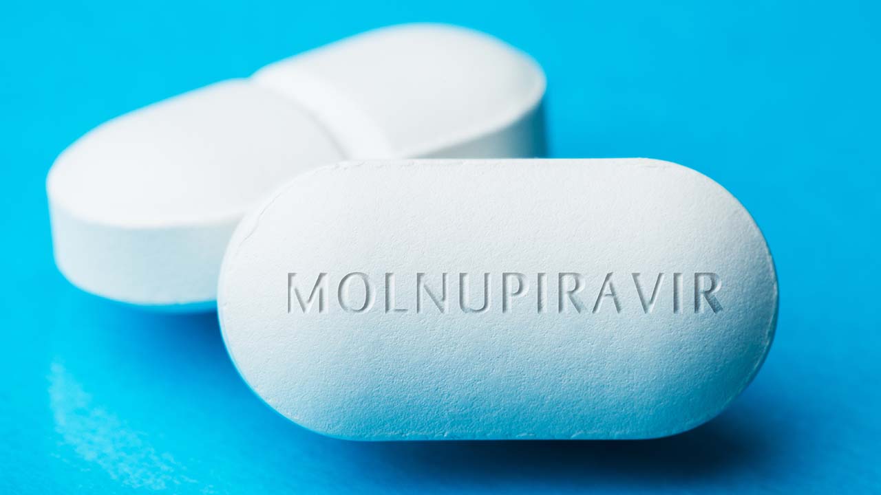 molnupiravir summary.jpg