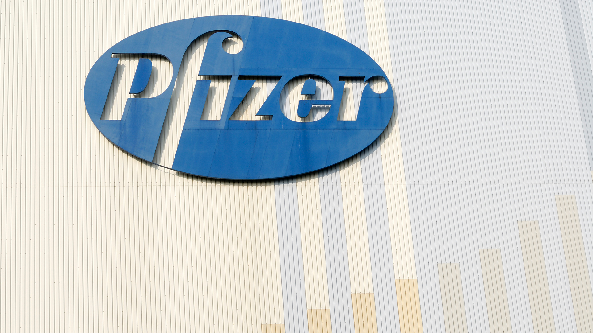 pfizer summary.jpg