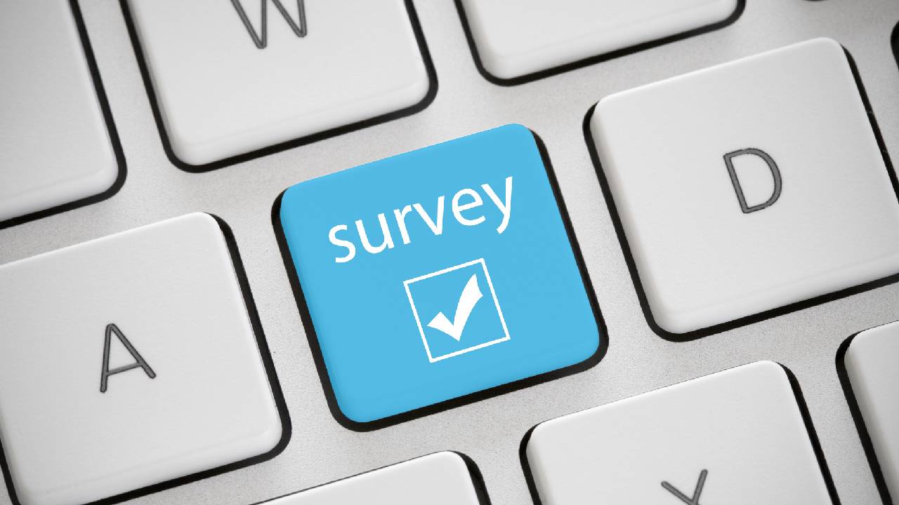 survey, online_summary.jpg